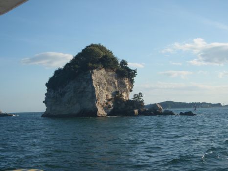 P9040150